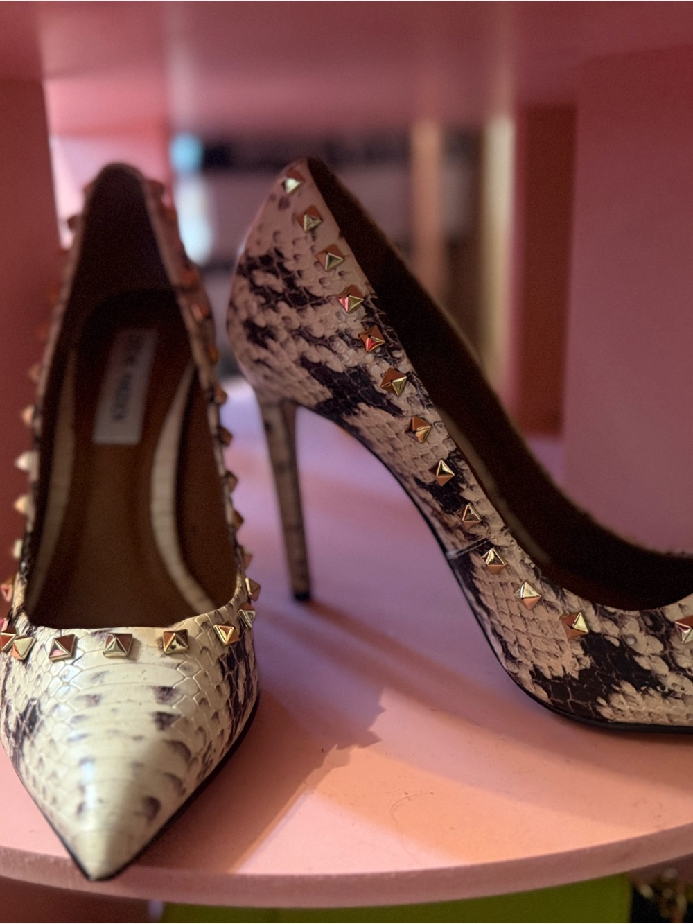 Steve Madden Cream and Black Snake-Print Studded Stiletto Pumps
